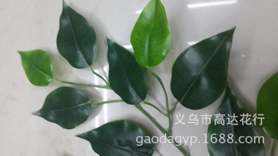 仿真胶榕树叶手感榕树枝假树叶榕树仿真叶子园林工程植物装饰批发详情14