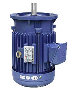 供应高崎铝壳电机三相立卧式1/4-250HP电动机台湾铝合金马达