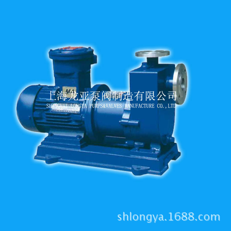 ZCQ50-40-145MCA变频磁力泵 ZCQ50-40-160不锈钢自吸磁力泵