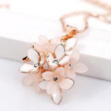 Viennois�����A�W�����| ���� �r�ж̿����Ʒ��T100451N