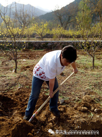 4月19日门头沟特产大山山货党支部在北京国际核桃庄园的“党员林”进行植...