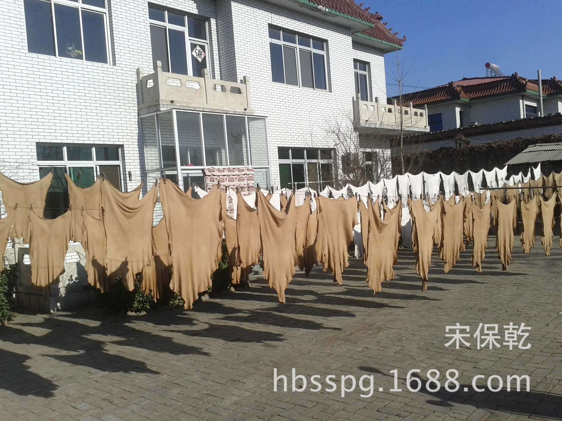 IMG_20131209_105838