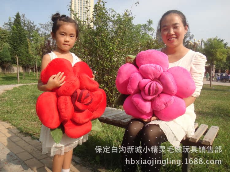 DSC01002