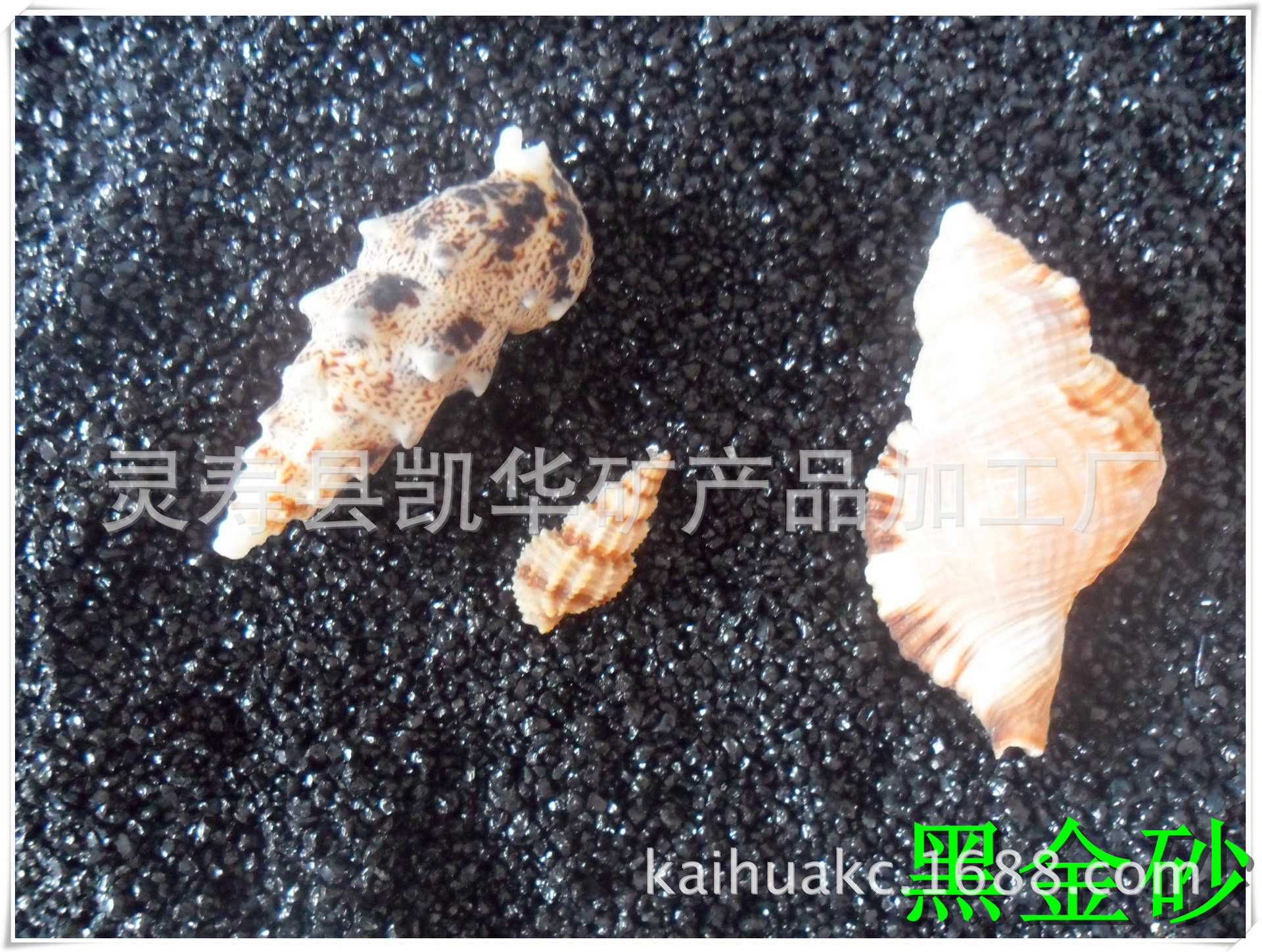 黑金砂 黑金沙 水草砂