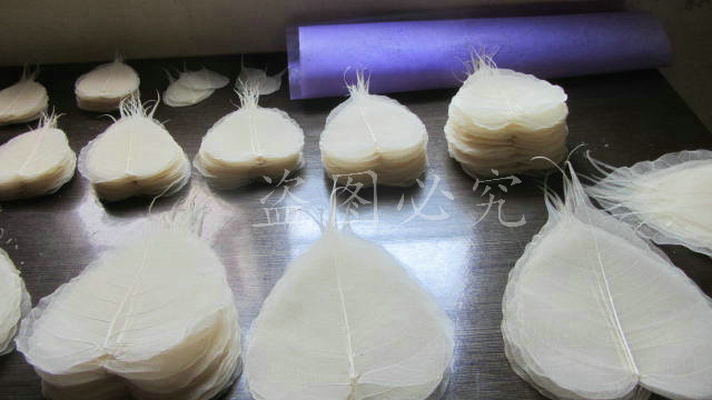 A001菩提叶脉 (45)