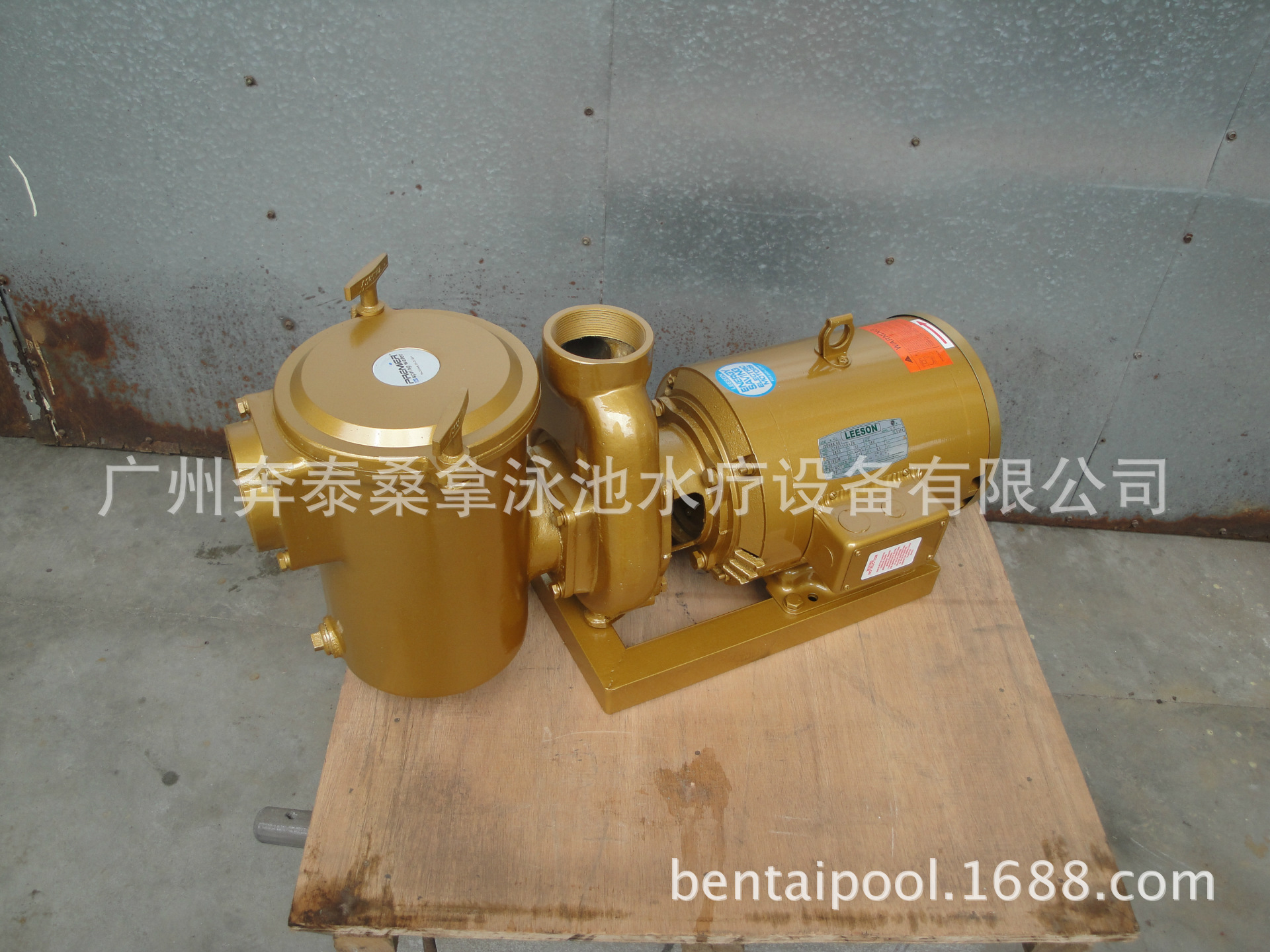 美国LEESON铜泵 利森铜泵 泳池过滤循环铜泵 泳池设备 15HP/380V