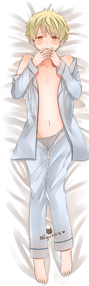 復件 pixiv 43214726 抱き枕雪音_miyuta