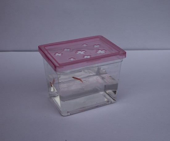 QQ图片20141020185341