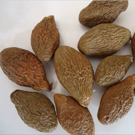 其他滋补;其他药食同源;参类滋补品