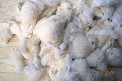 [recommend]Rabbit hair Rabbit Rabbit weave Hair ball Mat Raw materials rabbit skin plate