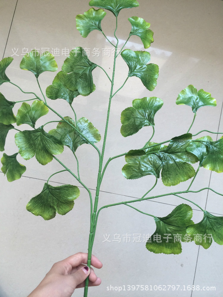 TB2Na_oaXXXXXaOXpXXXXXXXXXX_!!