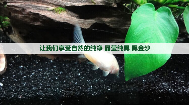 QQ圖片20141030125806