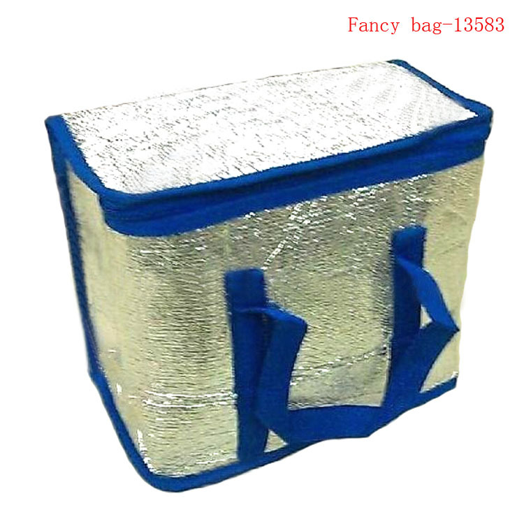 Fancy bag-13583