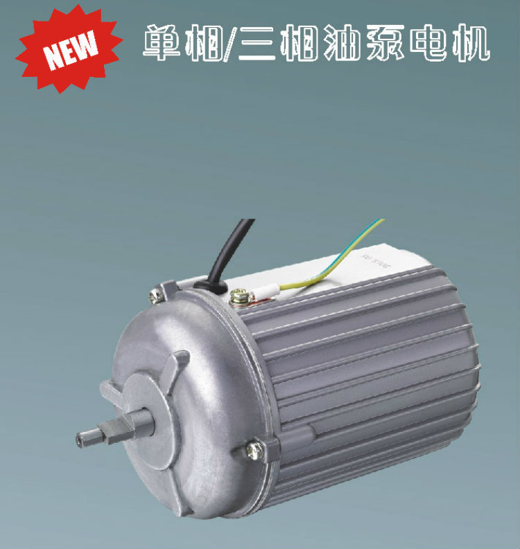单相/三相油泵电机新冠联汽车润滑系统微型节能静音电动机小型