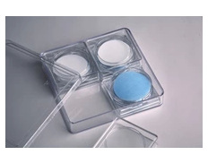 SDI污染指数测试膜 0.45μm 微孔滤膜 SDI膜 SDI滤膜