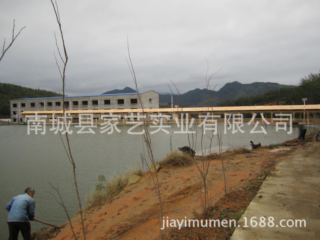 浙江庆元县新农村建设