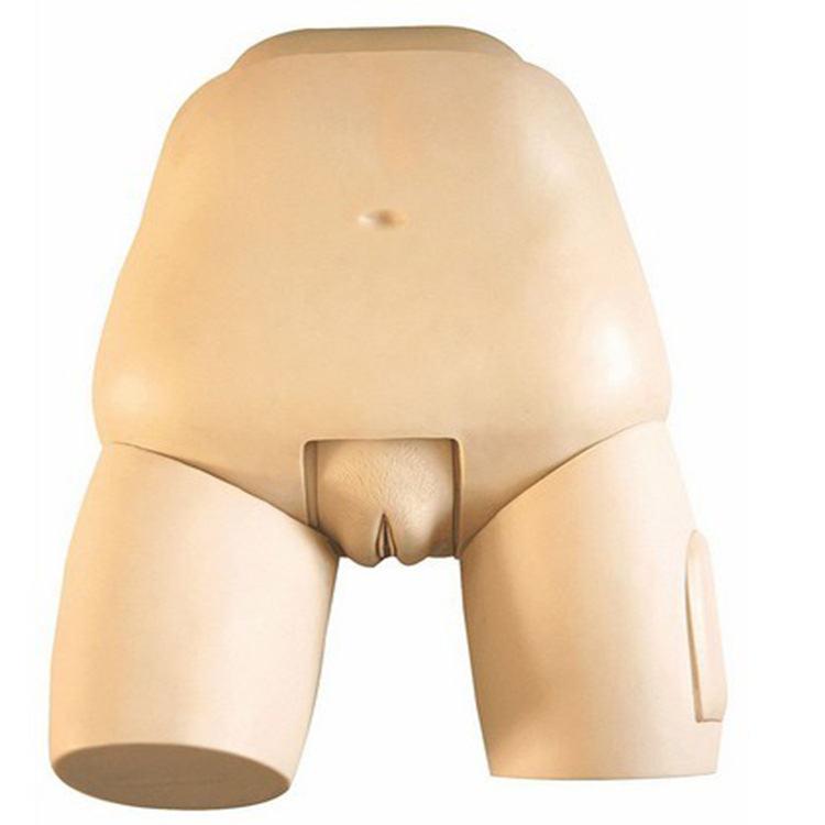 高级子宫底检查评定模型