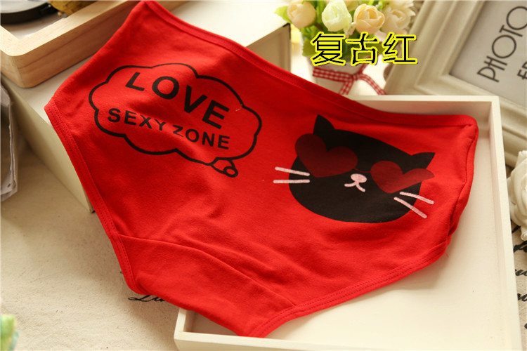 Slip jeunesse minou en coton - Ref 653285 Image 11