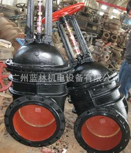 铸铁法兰闸阀   Z41T-10明杆闸阀  排污闸阀  试水阀