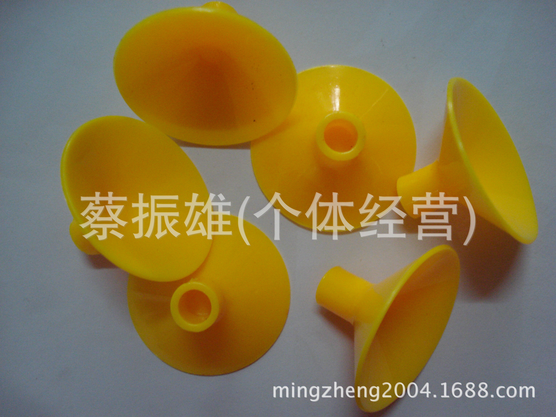 DSC05576
