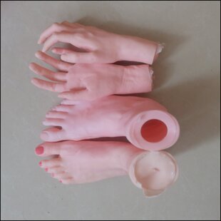 ���z��� ���������� 1:1�������_ģ��