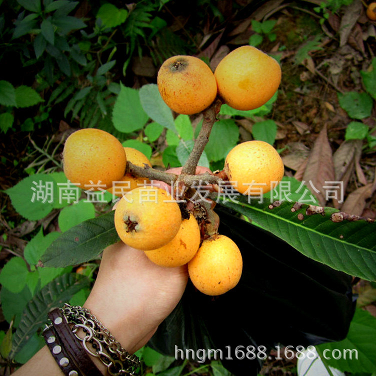 0db8c8b34a1c486aacafd586