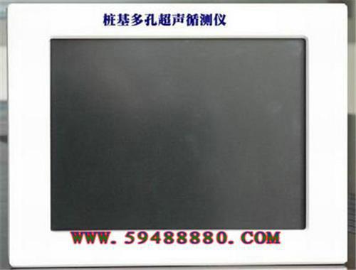 桩基多孔超声循测仪