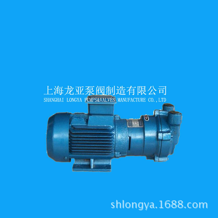 供应2BV2061铜叶轮真空泵 耐腐真空泵 2BV水环真空泵