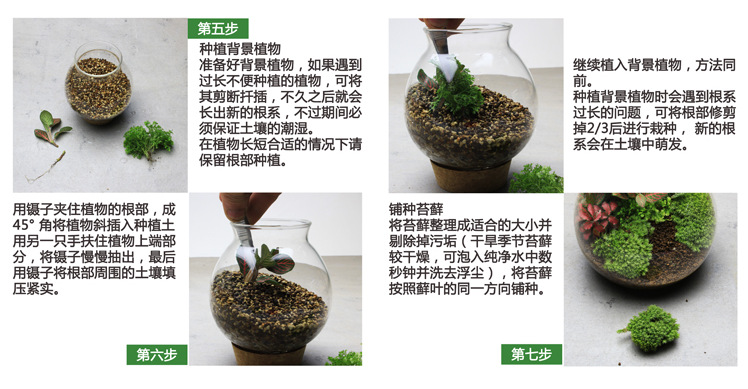 種植說明03