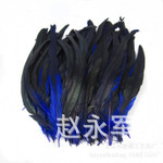 1069591537_729824264_search