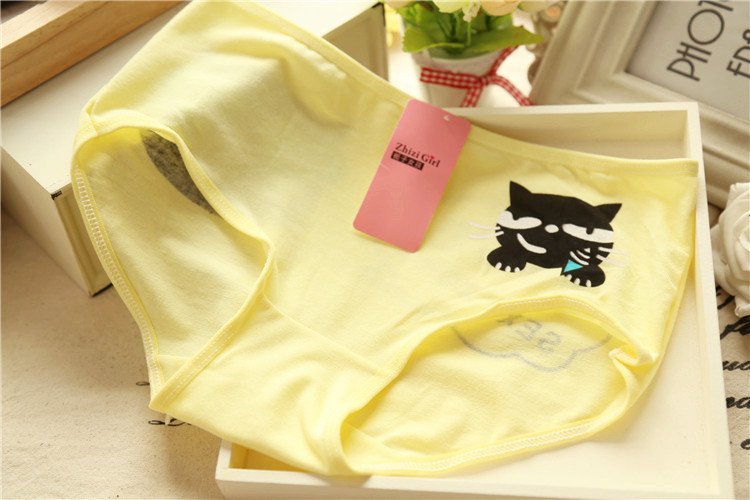 Slip jeunesse minou en coton - Ref 653285 Image 6