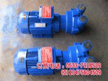 博山水环式真空泵2BV2061、水环式真空泵机械密封、铜叶轮