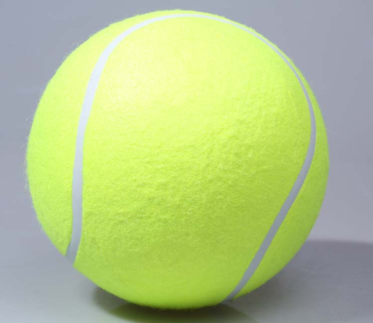 Quả bóng tennis 8 inch nhỏ bơm hơi thú cưng vợt tennis trẻ em giá rẻ