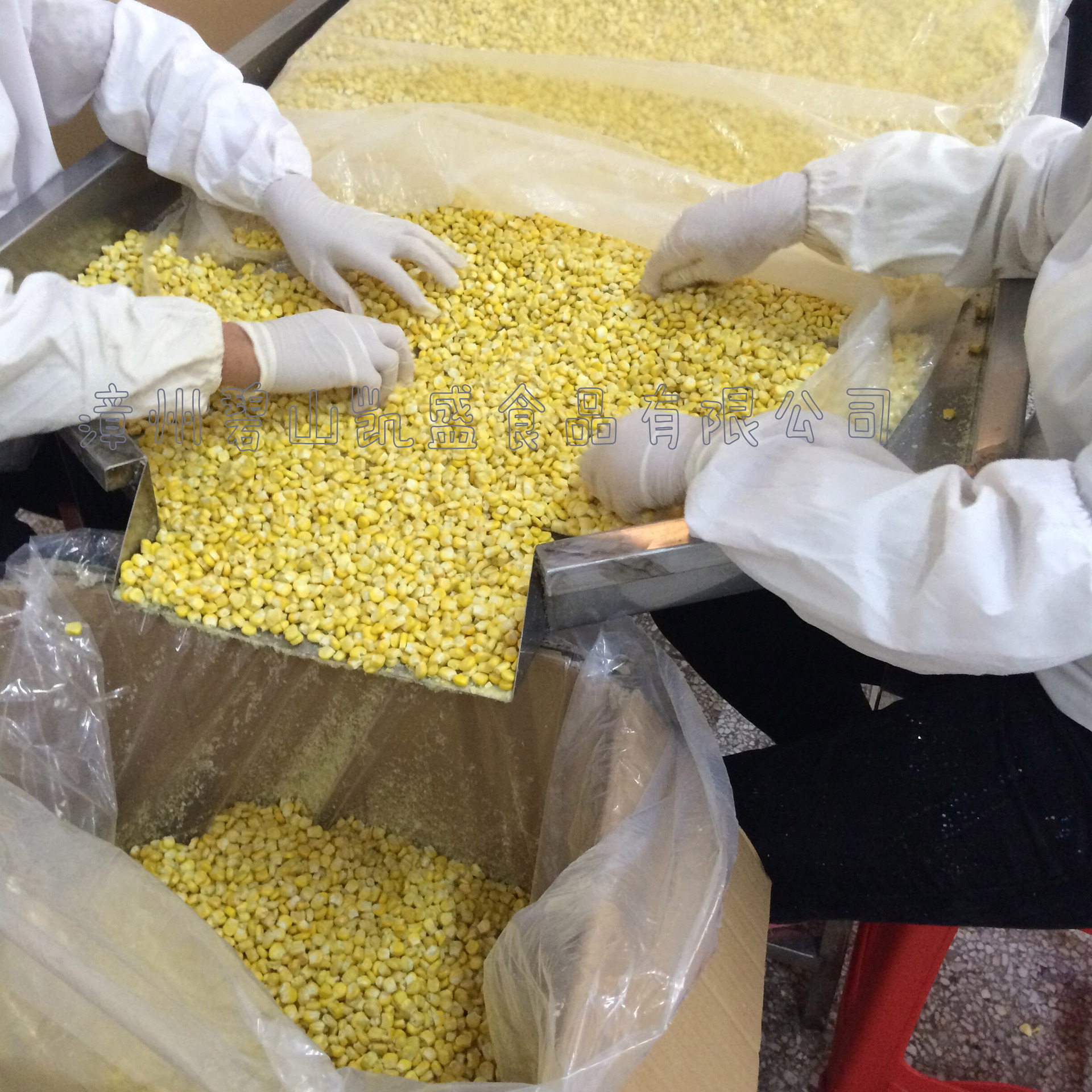 罐装零食_厂家直销 散装批发玉米粒 冻干玉米