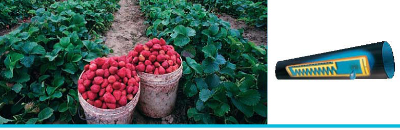 排风（PYTHOON）22100 内镶式薄壁滴灌管|ms