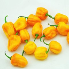 海南种植出售黄灯笼辣椒