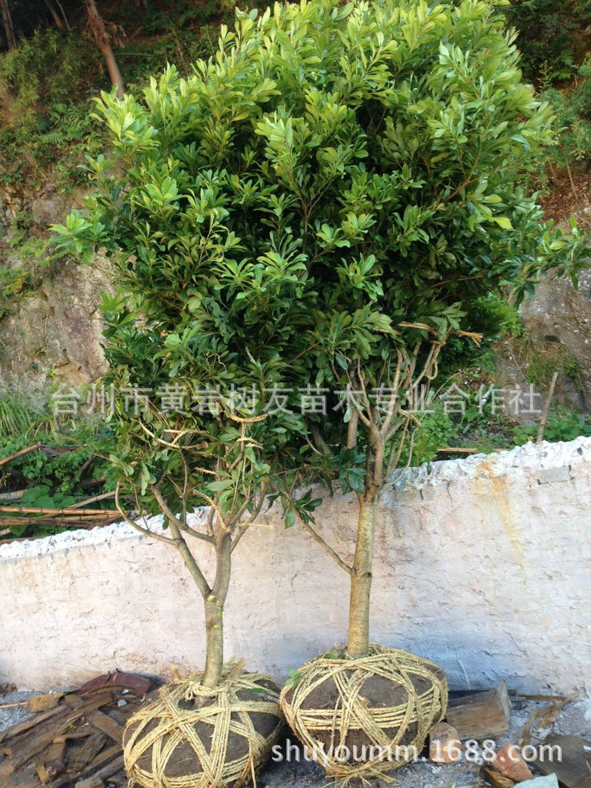 QQ圖片20141106222641