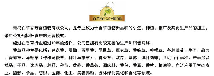 阿里模板成图_02