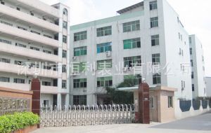 482196287_1617110897