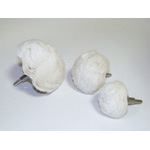 日本 YANASE    蘑菇型抛光   KBF-65   KBF-90