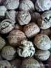 <Manufacturers> 103 Fruit Yunnan walnuts Walnut 103 Paper walnut wholesale