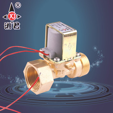 批發生產 計時型水控機高壓電磁閥 水控機高溫防爆電磁閥系列