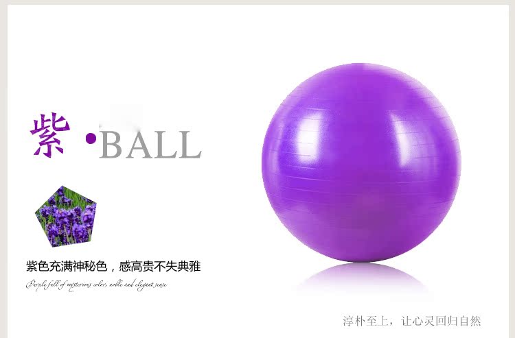 瑜伽球1