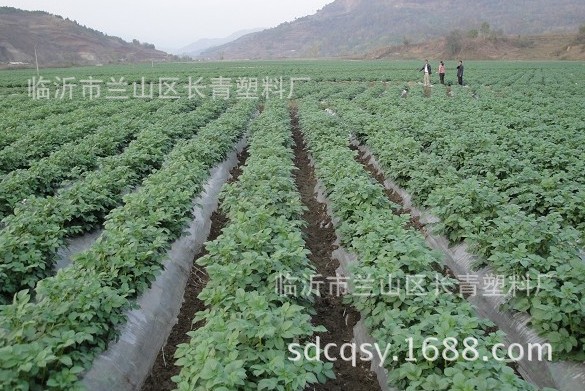 Los fabricantes anticorrosión del jardín plástico agrícola profesional de la película suministran la película agrícola del invernadero