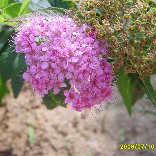 �����ع����̡��������l���N������������ľ�N�Ӄ��|�r��gӭ�xُ