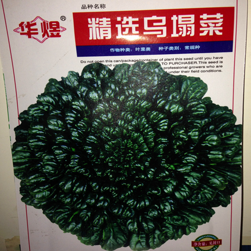 wholesale Vegetables seed Braised Vegetables Wuta vegetable seeds Four seasons sow courtyard balcony Vegetables 5 g loading