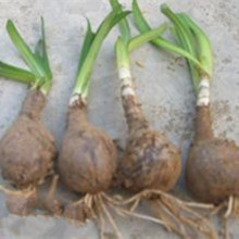 Cbu01 Alicdn Com Img Ibank 14 432 018