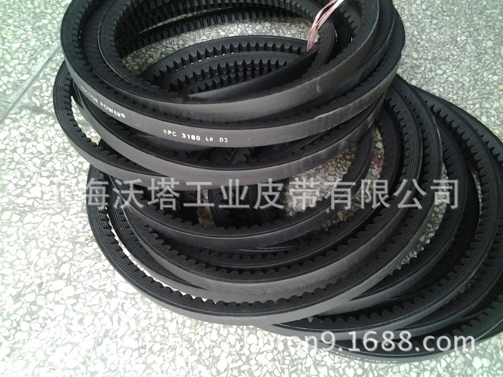 ������ɫ�к��VECTOR�������Ǵ� ���������Ǵ�  SPC��