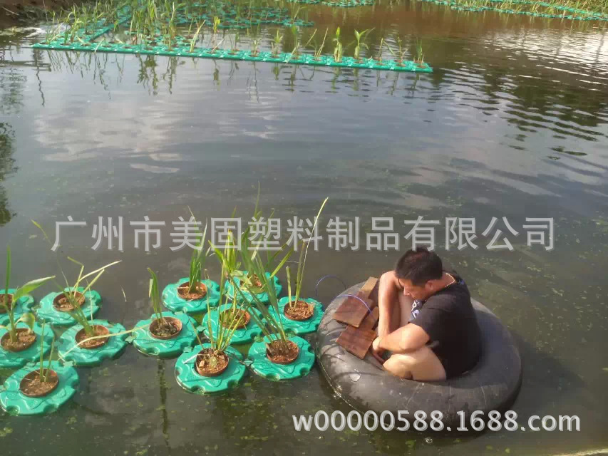 河道可回收植物浮床生态水生生物浮岛人工清洁河道治理