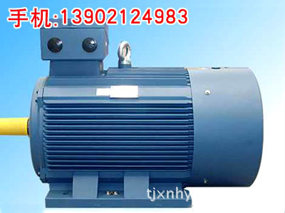 YE3-355L-4系列三相异步电动机  /天/